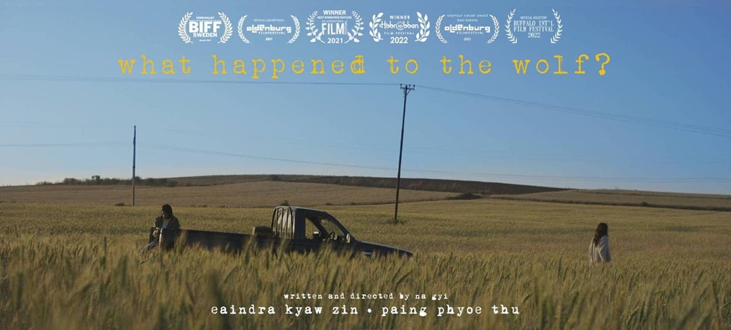 What Happened to the Wolf? poster